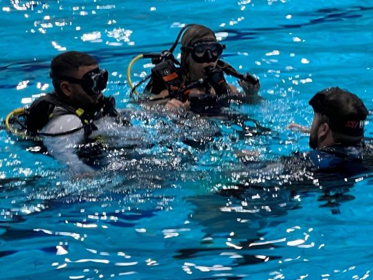 špud ronjenje višnjik 7