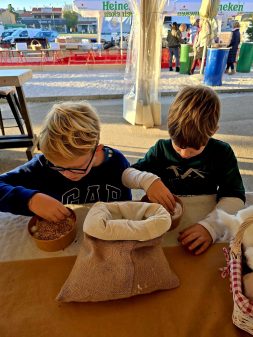 1000080431_optimized