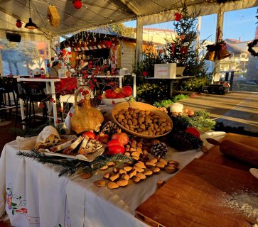 1000081481_optimized