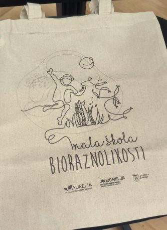 WhatsApp Image 2025-12-22 at 11.34.43 (1)