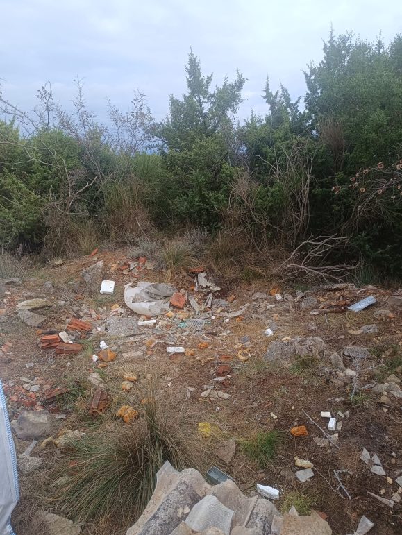 WhatsApp Image 2025-12-27 at 12.18.52 (1)