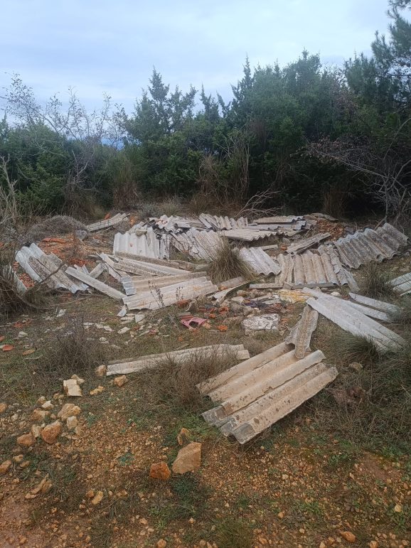 WhatsApp Image 2025-12-27 at 12.18.52