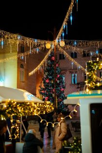 46 034 Božićni vlakić Advent u Zadru 2025, Foto Matija Lipar