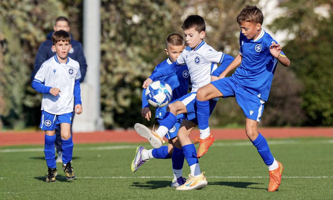 bartol suric zadarnova 2