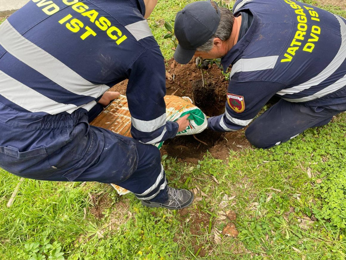 655938358_943550751761452_3798715009682547879_n