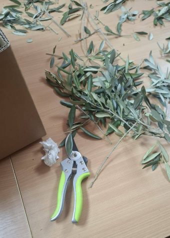 656799243_122270299568088038_5103613415239094863_n