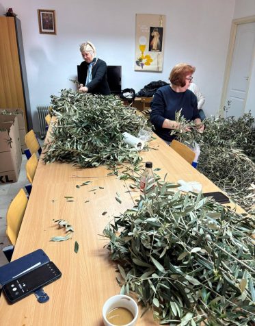 658065208_122270299616088038_5420438897049393277_n