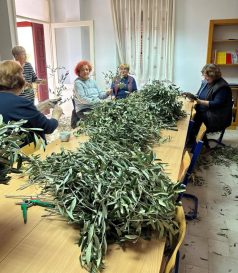 658093531_122270299436088038_8758787089069995798_n