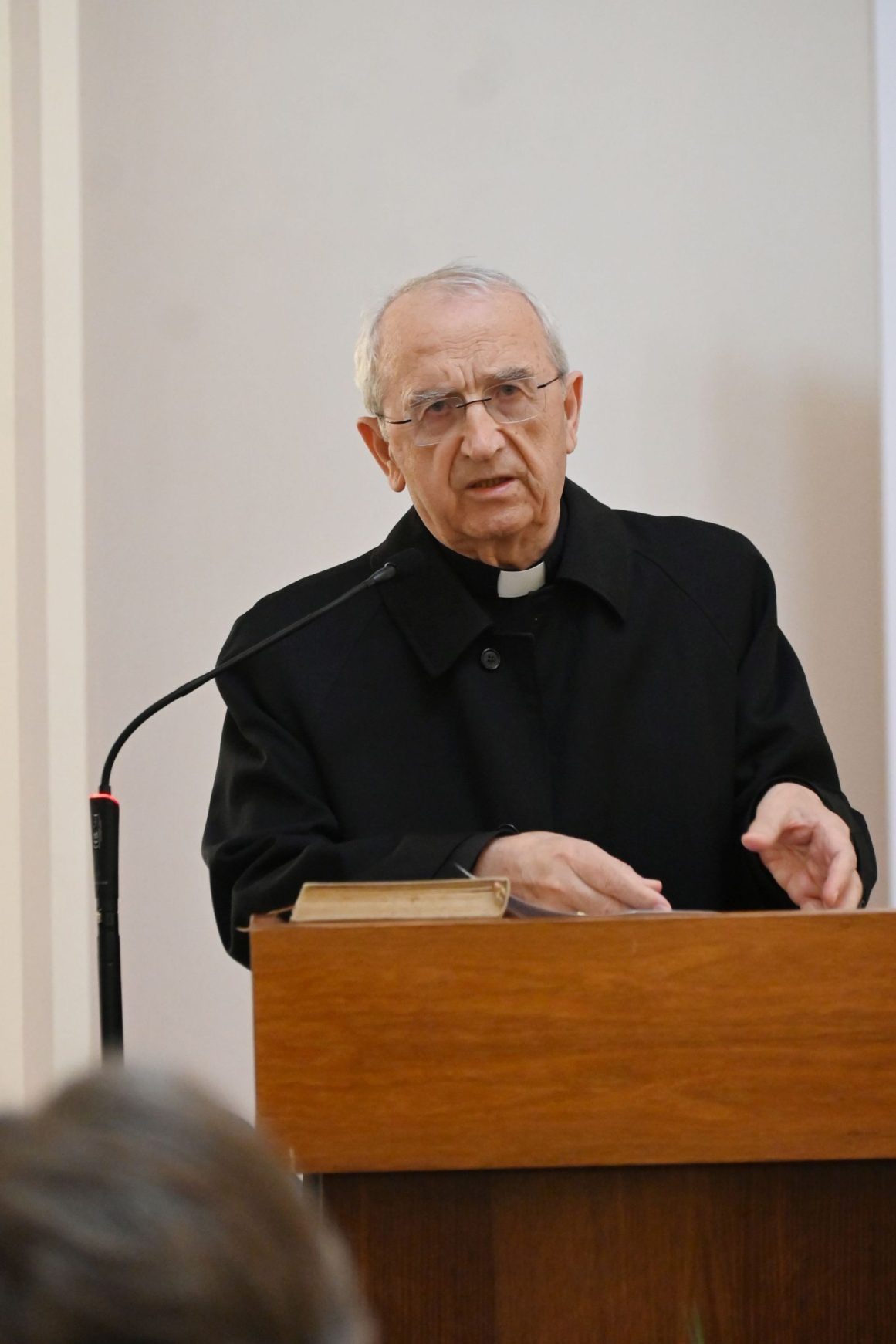 almae matris puljic (13)