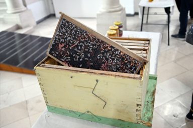 dan meda (11)