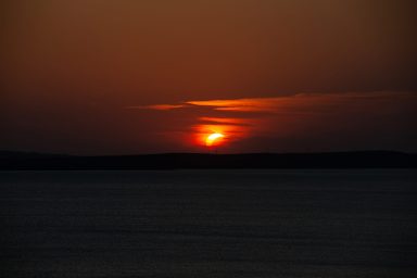 pomrcina