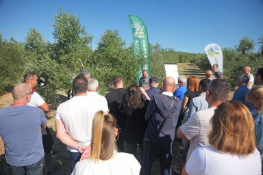 Veliki interes za znanstveni projet Olive _ Tech